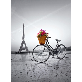 Puzzle Romantic Paris, 500 Teile