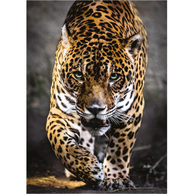 Puzzle Jaguar, 1000 Teile