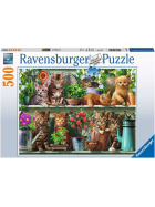 Ravensburger Katzen im Regal