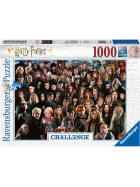 Ravensburger Challenge Harry Potter