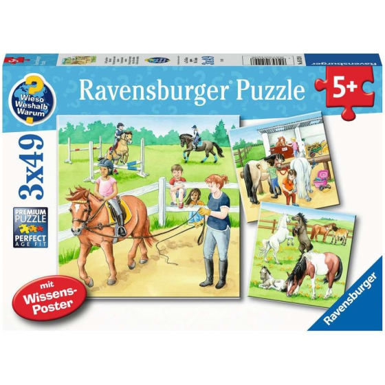 Puzzle Ein Tag auf dem Reiterhof, 3 x 49 Teile