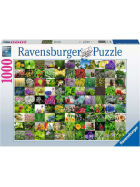 Puzzle 99 Kräuter und Gewürze, 1000 Teile