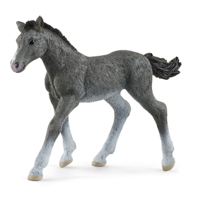 Schleich Trakehner Fohlen