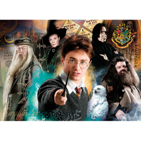 Puzzle Harry Potter 2, 500 Teile