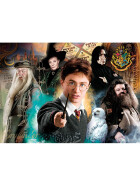 Puzzle Harry Potter 2, 500 Teile