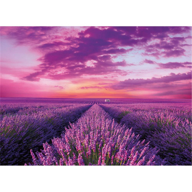 Puzzle Lavendel, 1000 Teile