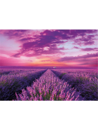 Puzzle Lavendel, 1000 Teile