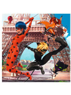 Puzzle Unsere Helden Ladybug und Cat Noir, 3 x 49 Teile