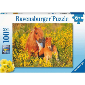 Puzzle Shetlandponys, 100 Teile