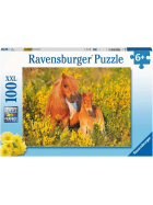 Puzzle Shetlandponys, 100 Teile