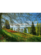 Puzzle Frühlingsallee zur Tulpenblüte, Insel Mainau, 1000 Teile