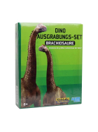 4m Dino Ausgrabungsset - Brachiosaurus