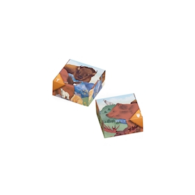 Super Meeple Caldera Park (f)