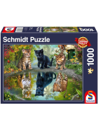 Puzzle Dream Big!, 1000 Teile