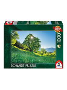 Puzzle Berg-Ahorn im Sonnenlicht St. Gallen, 1000 Teile