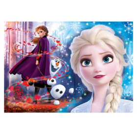 Puzzle Frozen 2, 2 x, 60 Teile