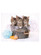 Puzzle Lovely Kittens, 180 Teile