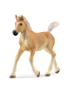 Schleich Haflinger Fohlen