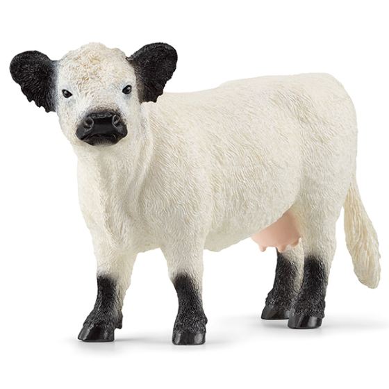 Schleich Galloway Rind