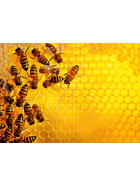 Puzzle Bienen, 1000 Teile