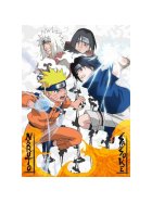 Puzzle Naruto vs. Sasuke, 1000 Teile